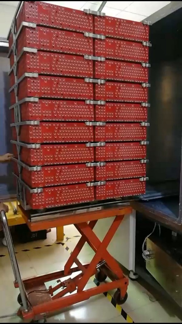 1633920183895867.jpg 9.1.1.jpg